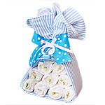 Blue Stork Bundle