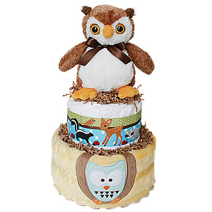 O is for Owl Diaper Cake